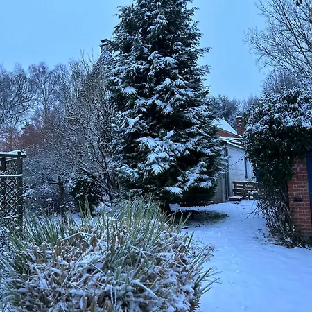 Le Des Cohettes Auchy-au-Bois